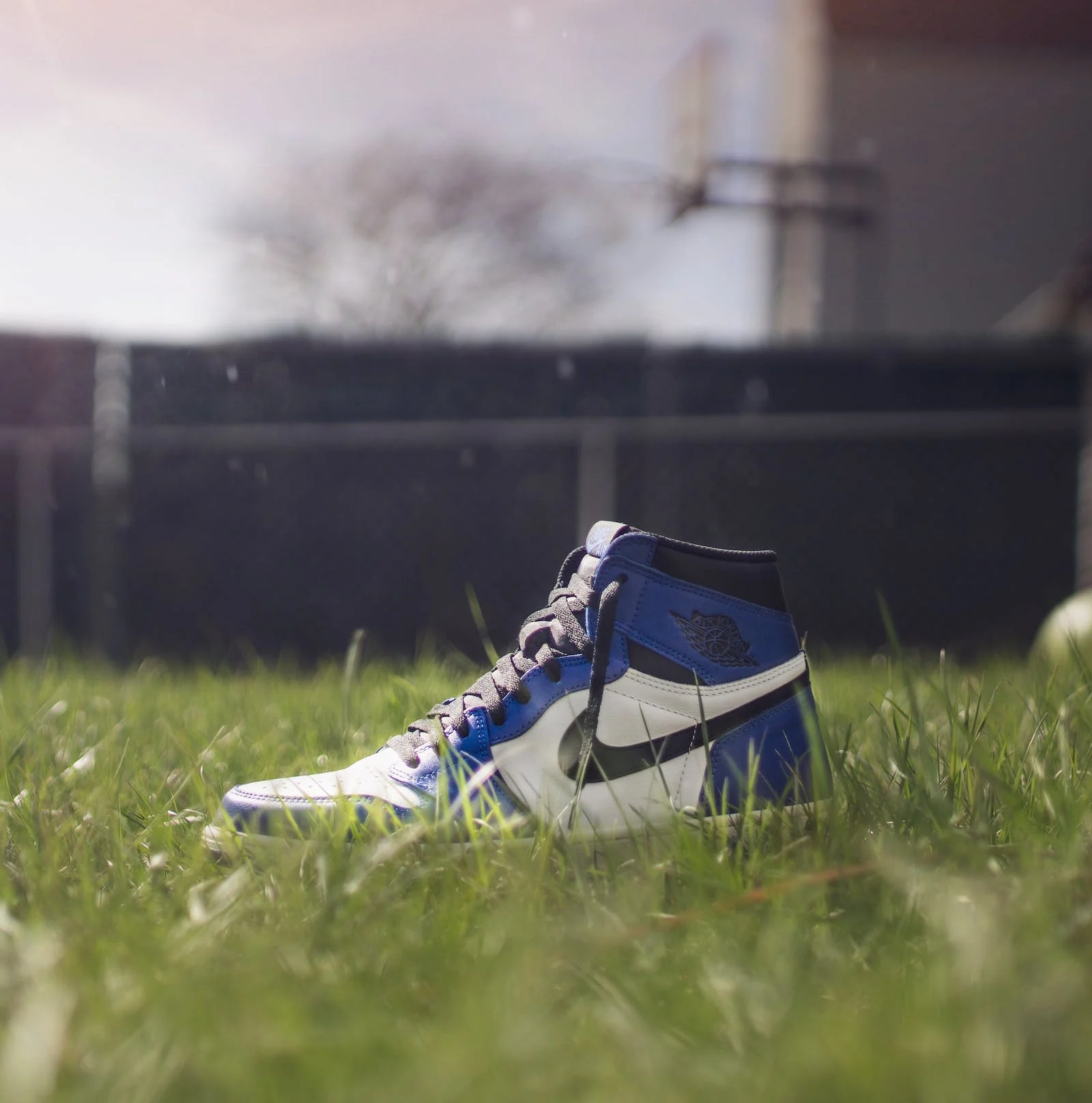 craig sager 1s