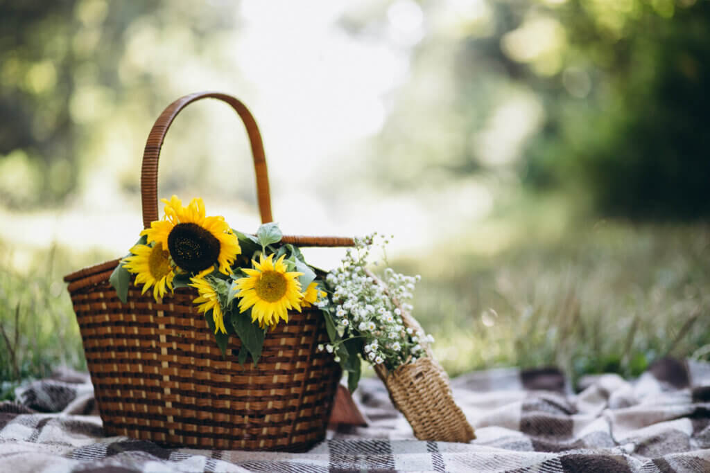 ventas de primavera amazon