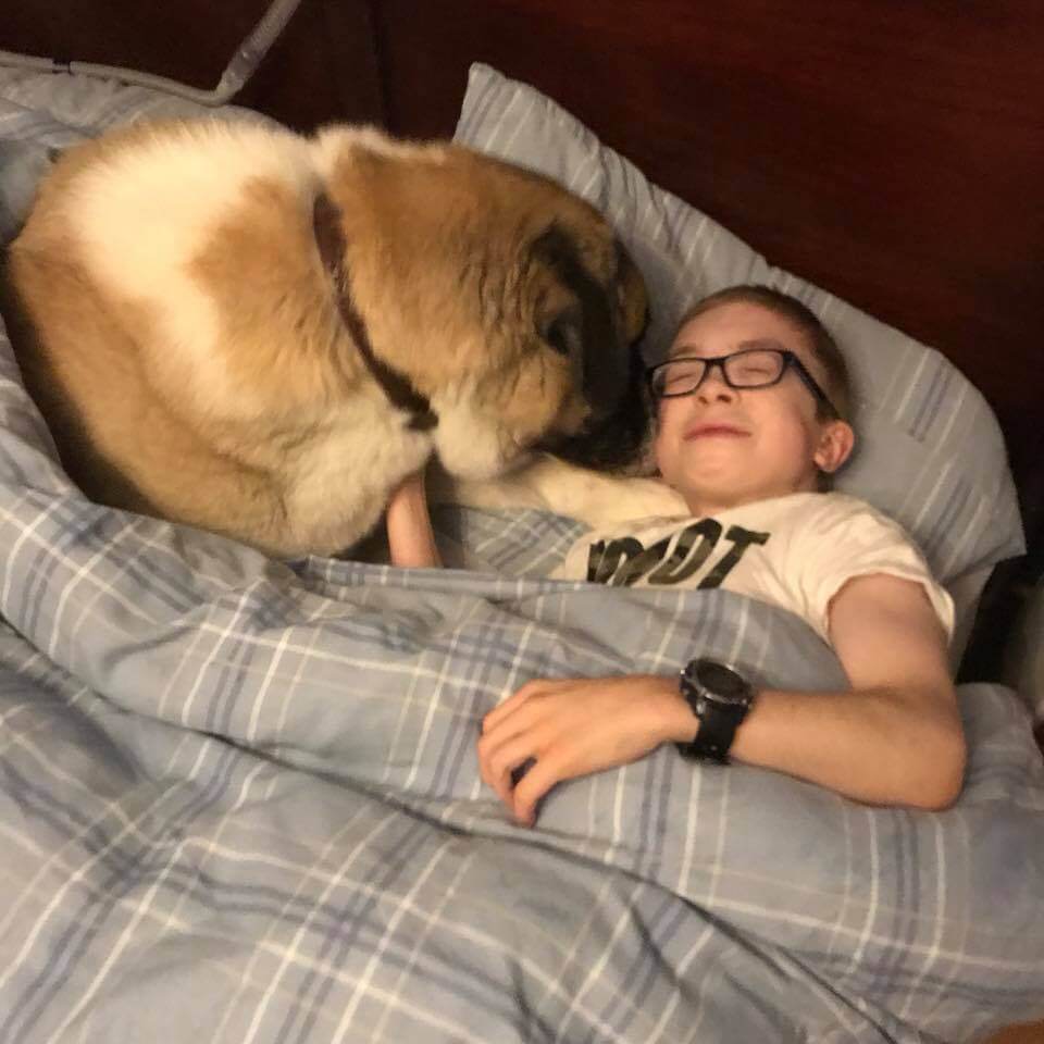 Haatchi in owens bed