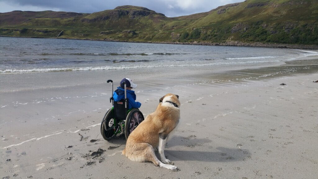 Haatchi and owen at the beach