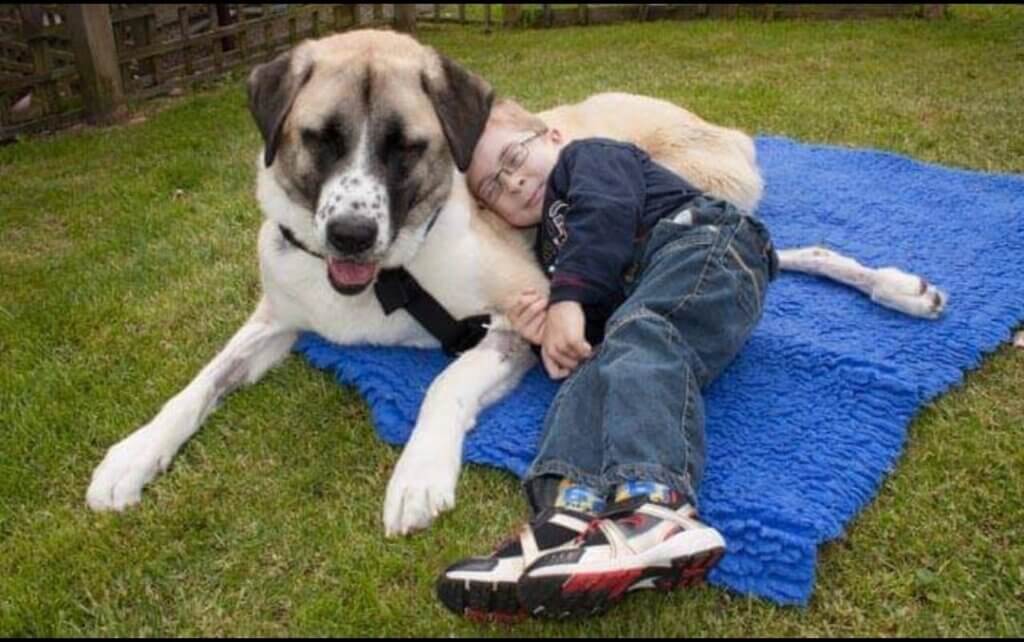 Owen and haatchi in the garden
