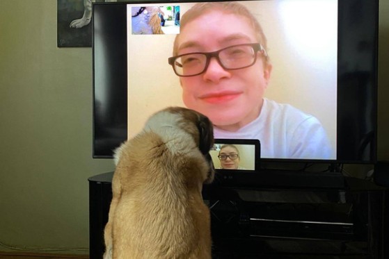 Haatchi and Owen facecalling