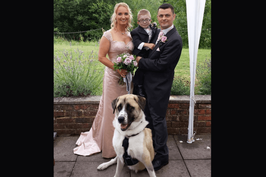 Owen and Haatchi at Will and Colleen's Wedding