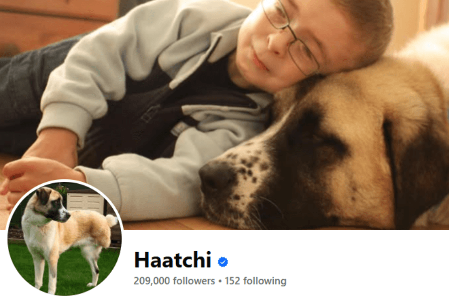 Screen shot of the Haatchi Facebook Page
